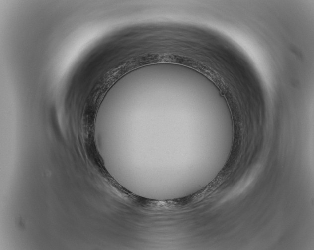 X0000115500239200911061029