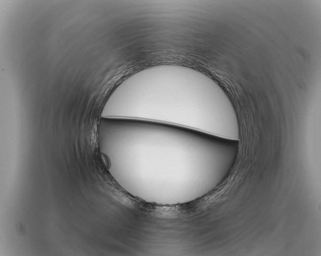 X0000115500240200911061028