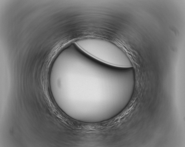 X0000115500241200911061028