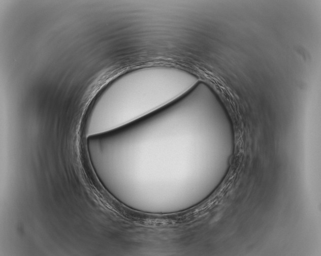X0000115500242200911061028