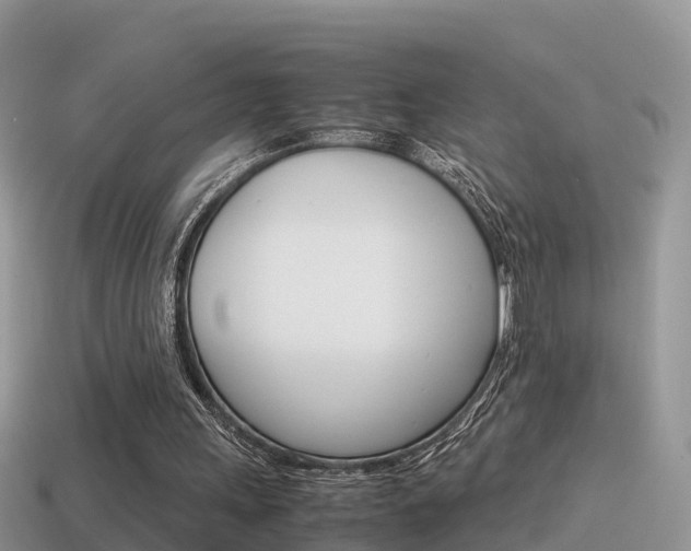 X0000115500243200911061028