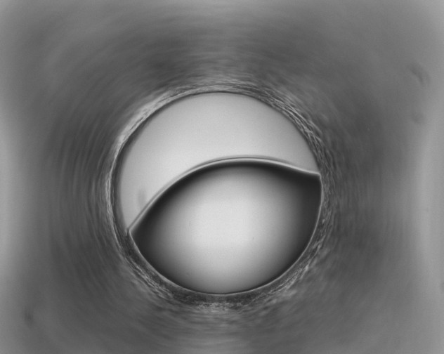 X0000115500244200911061028
