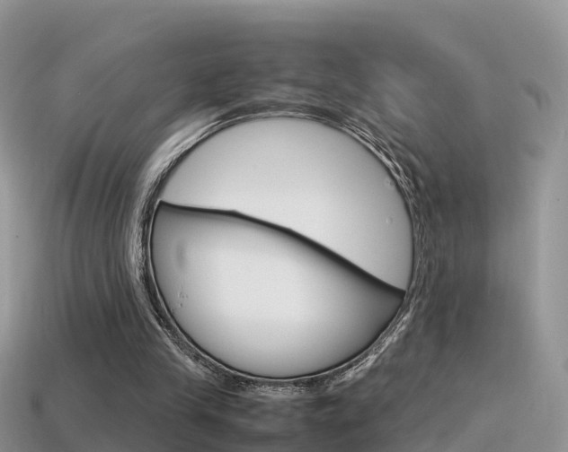 X0000115500245200911061028