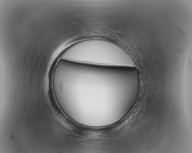 X0000115500246200911061028