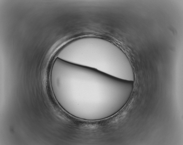X0000115500247200911061028