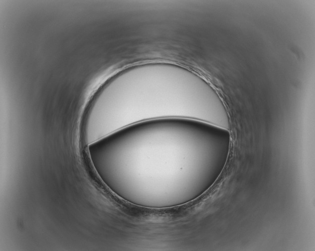 X0000115500248200911061028