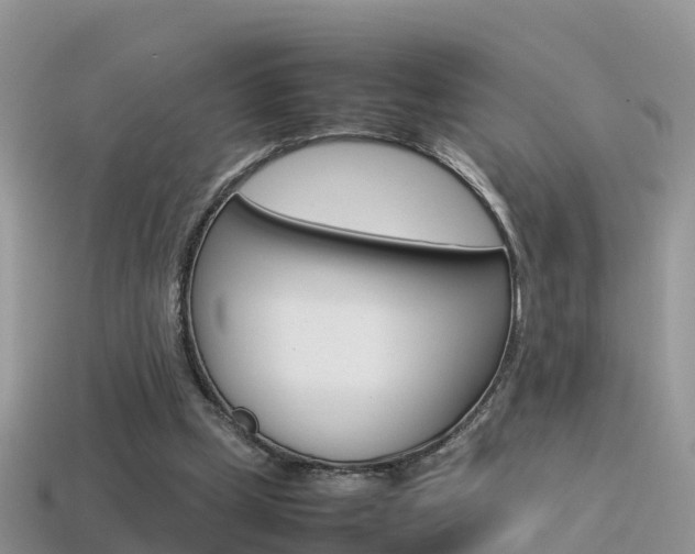 X0000115500249200911061028