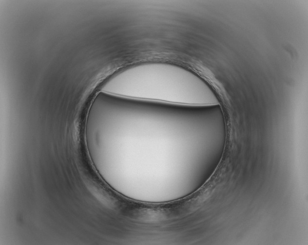 X0000115500250200911061028
