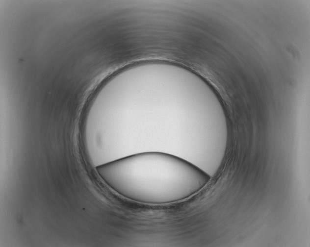 X0000115500252200911061028