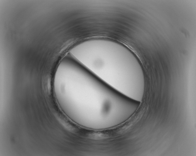X0000115500253200911061028