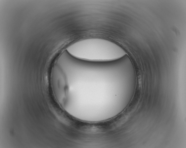 X0000115500254200911061028