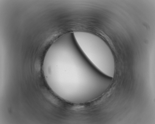 X0000115500257200911061028