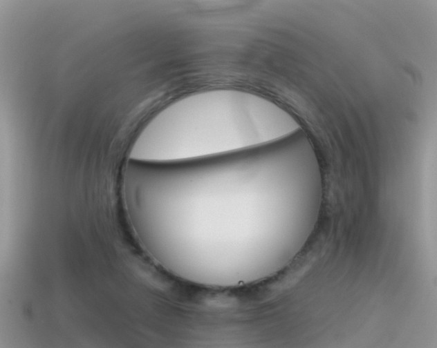 X0000115500258200911061028