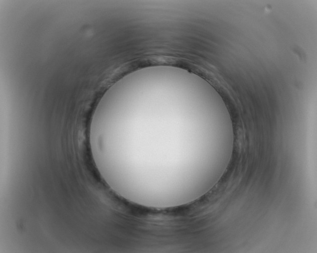 X0000115500259200911061028