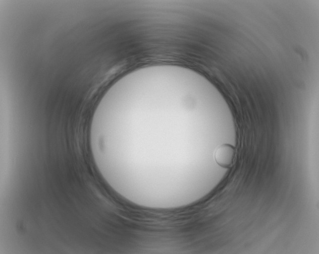 X0000115500260200911061028