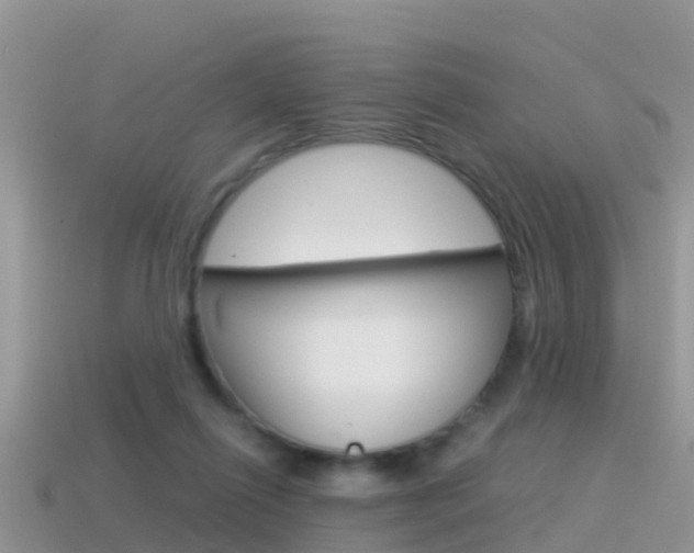 X0000115500262200911061028