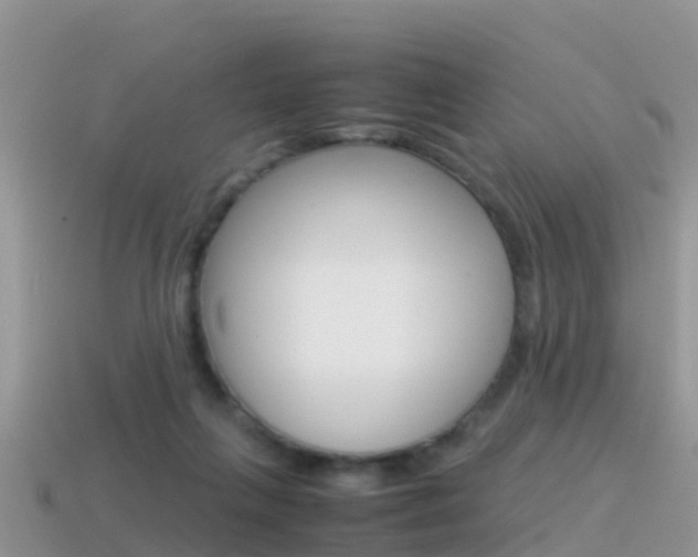 X0000115500263200911061028