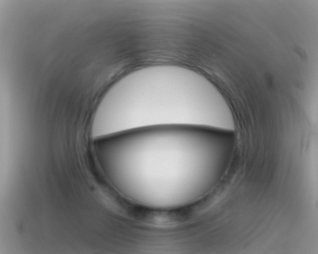 X0000115500264200911061028