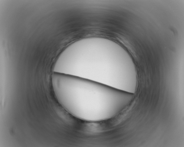 X0000115500265200911061028