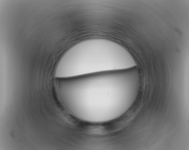X0000115500266200911061028