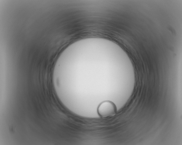 X0000115500268200911061028