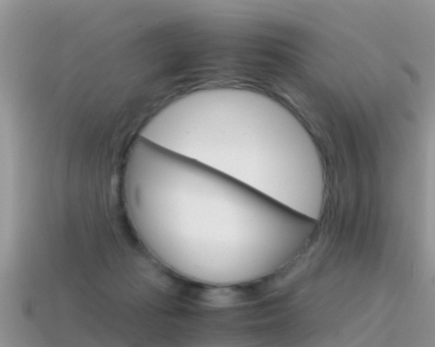 X0000115500269200911061028