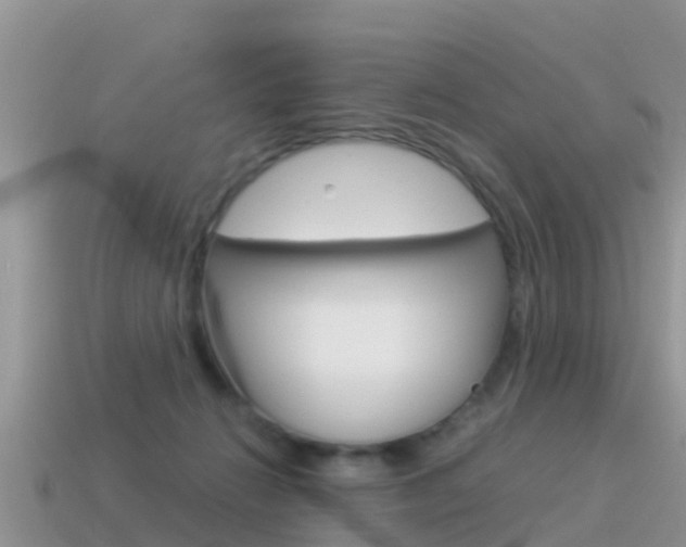 X0000115500270200911061028