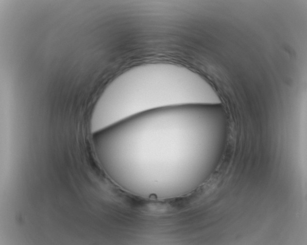 X0000115500272200911061028