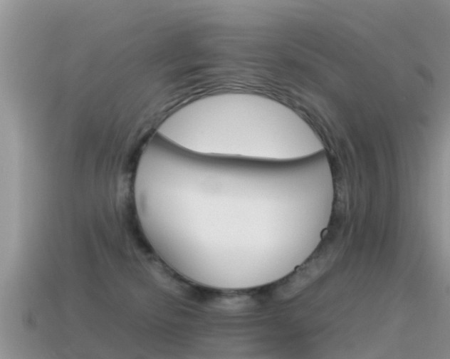 X0000115500278200911061028