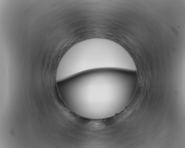 X0000115500280200911061028