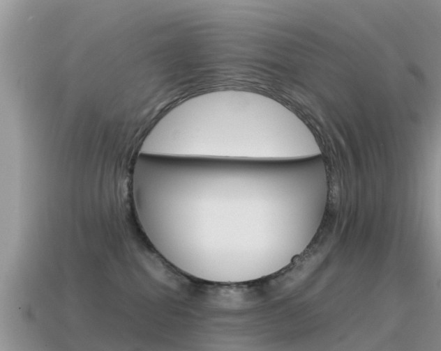 X0000115500282200911061028