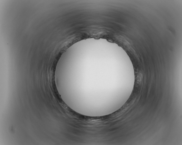 X0000115500283200911061028