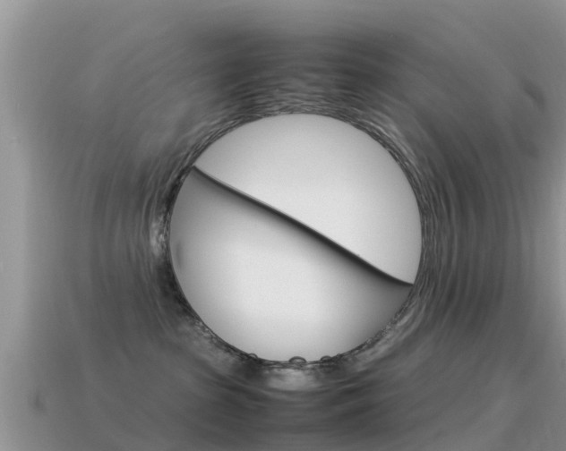 X0000115500285200911061028
