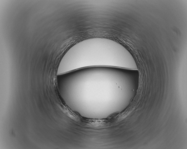 X0000115500288200911061028