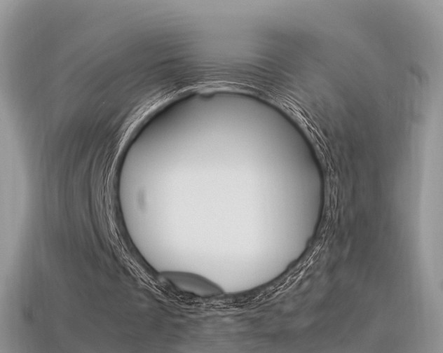 X0000115500289200911061028