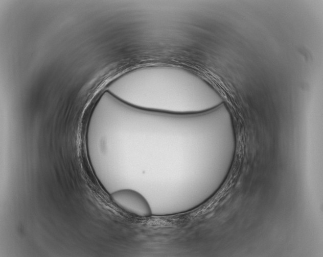 X0000115500290200911061028