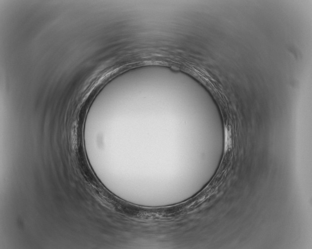 X0000115500291200911061028