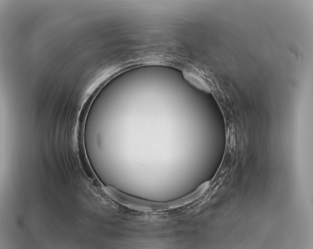 X0000115500292200911061028