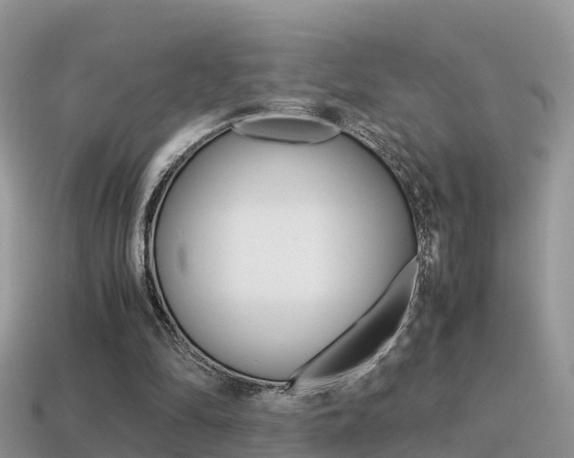 X0000115500294200911061028
