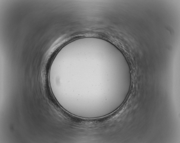 X0000115500295200911061028