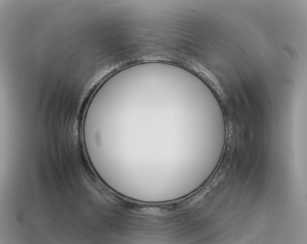 X0000115500298200911061028