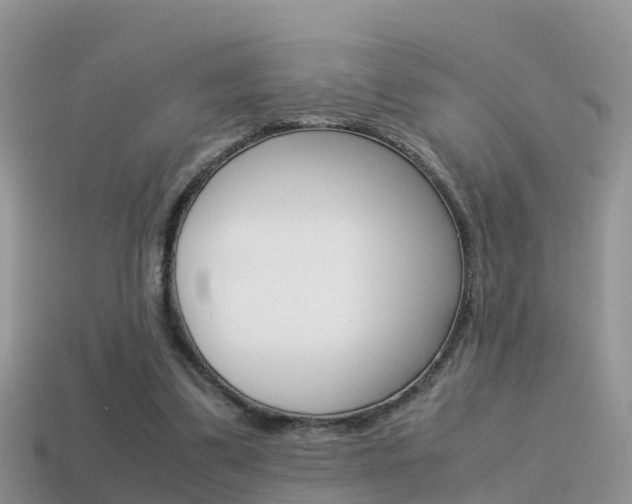 X0000115500299200911061028