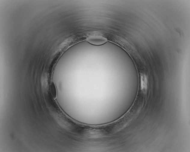 X0000115500300200911061028