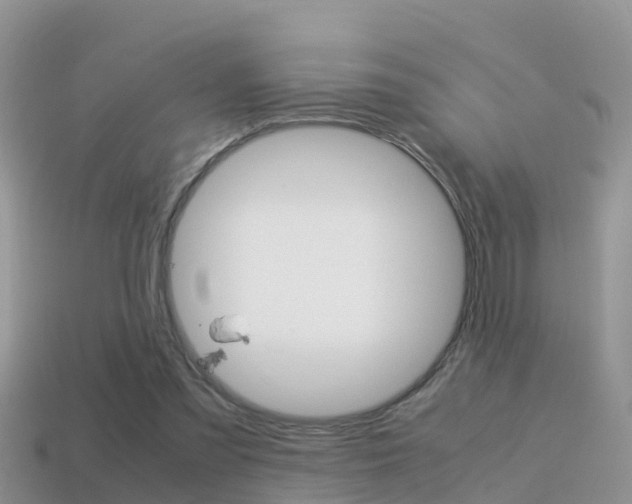 X0000115500301200911061028