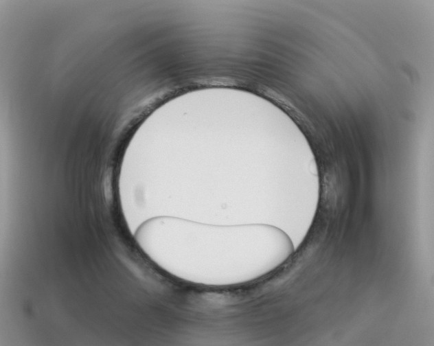 X0000115500302200911061028