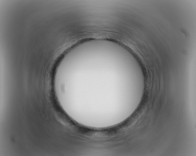 X0000115500303200911061028