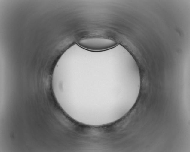 X0000115500305200911061028