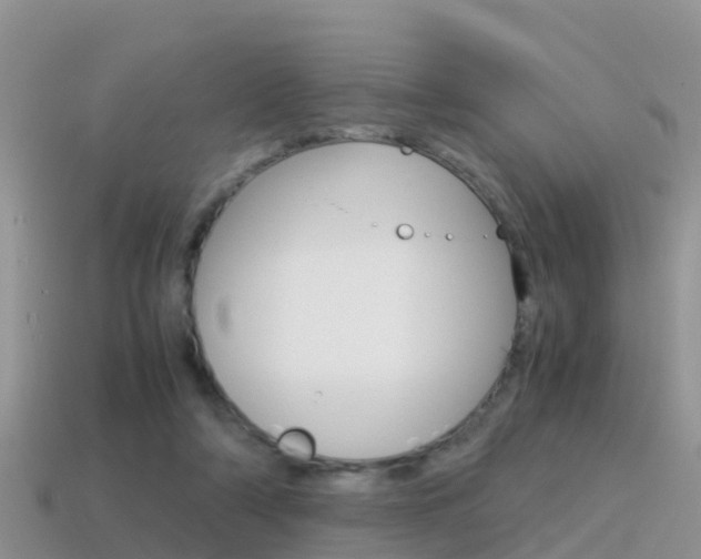 X0000115500306200911061028