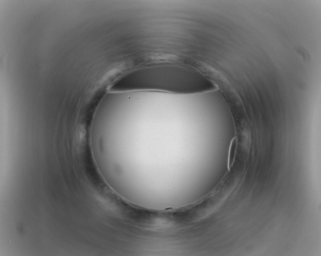 X0000115500308200911061028