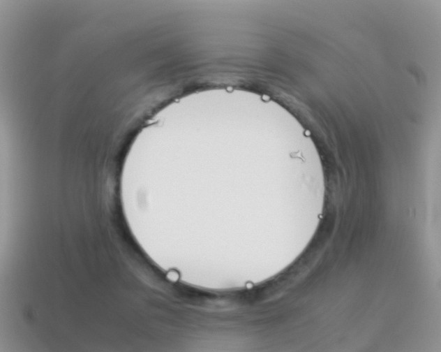 X0000115500309200911061028